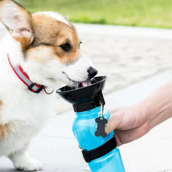 Bebedero portátil para mascotas