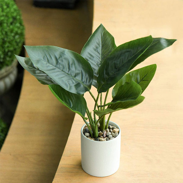 Planta artificial ficus