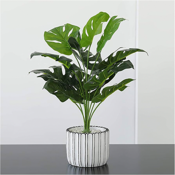 Planta artificial costilla de adán