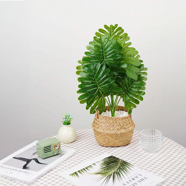 Planta artificial malaga