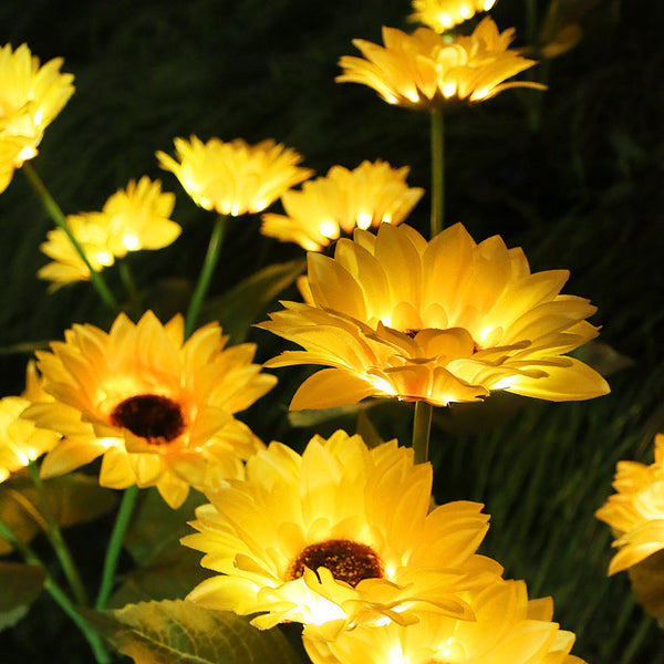 Set de luces led solares